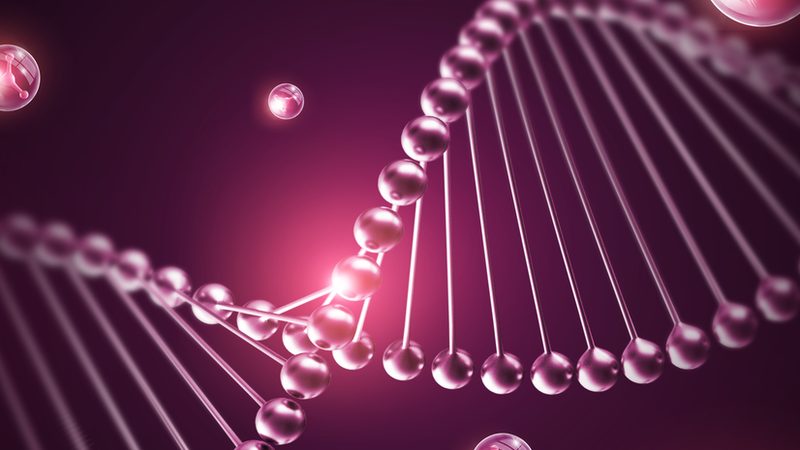 兔多克隆抗体制备：流程揭秘与关键步骤**