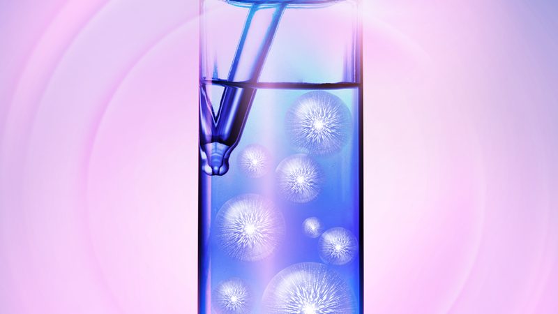 PCR检测代理合同模板：构建合作基石的必备要素