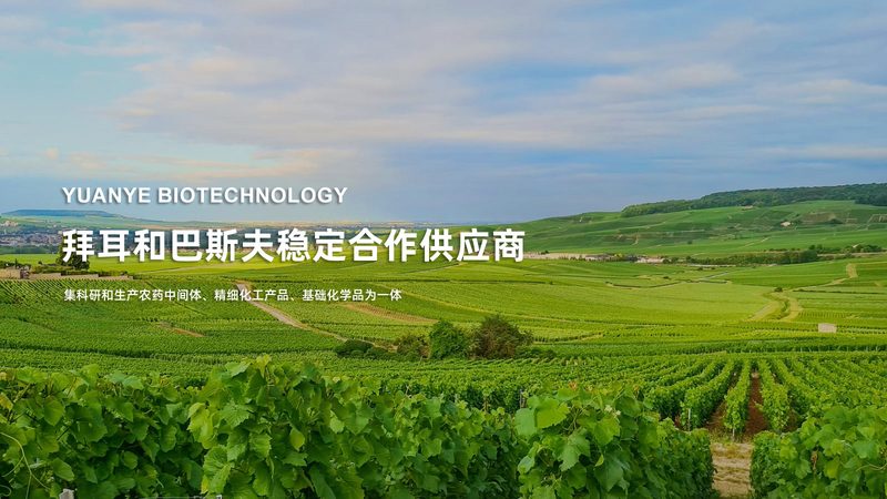 如何在CRO优化中巧妙平衡用户体验