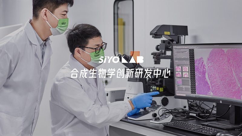 50ml离心管：揭秘实验室中的“隐形英雄”**