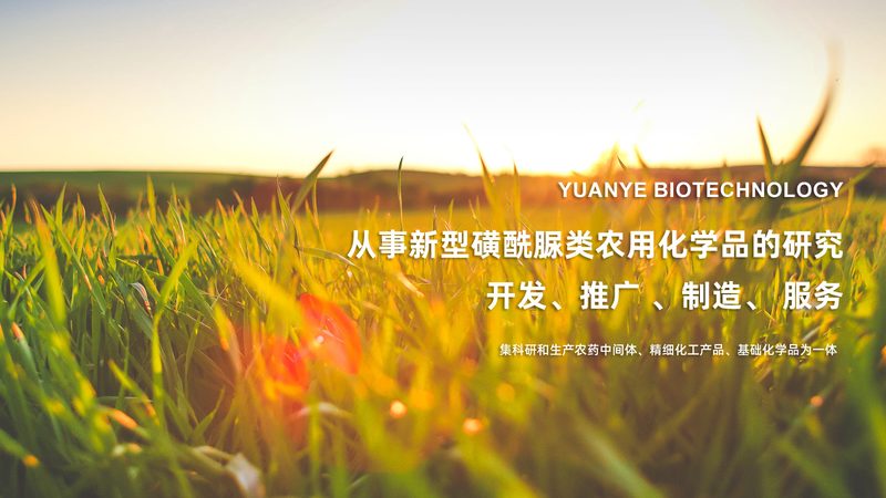抗体纯化定制服务：揭秘医药研发的关键环节
