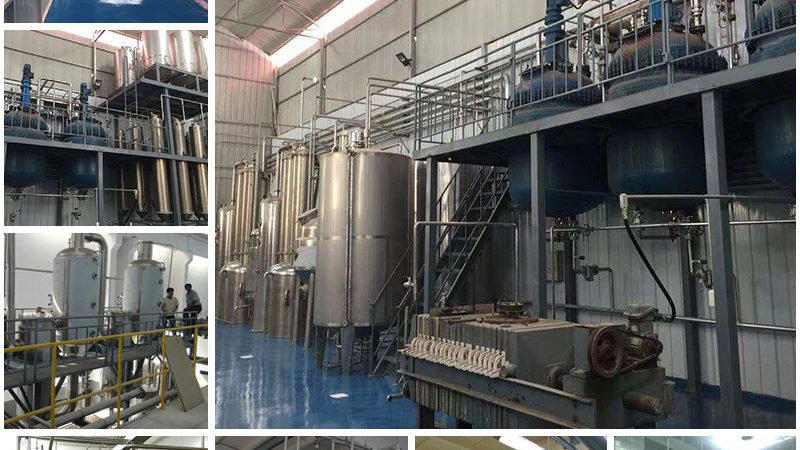 细胞培养操作安全标准：如何确保实验的精准与合规