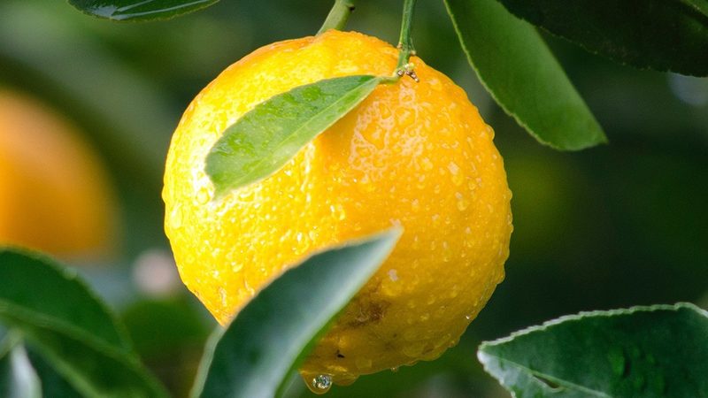 小标题：影响CRO优化公司收费的因素