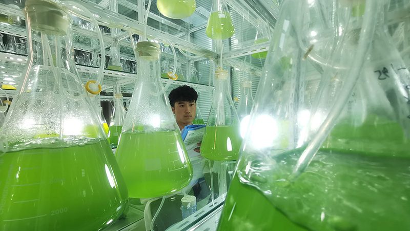 单基因病测序与全外显子组测序：优缺点对比解析**